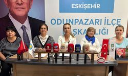 İYİ Parti Odunpazarı Kadın Politikaları Başkanı Aysun Yılancı’dan Hemşireler Haftası mesajı