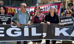 Jale Nur Süllü’den orman yangınları çağrısı: “Hesap veren yok”