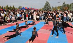 TÜBİTAK tescilledi: Sazova'da dev bilim şöleni başlıyor