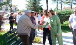 Ayşe Ünlüce Çifteler'de incelemelerde bulundu
