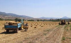 Büyükşehirden üreticilere 2 bin 850 balya desteği