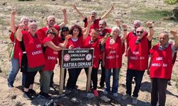 DİSK Emekli-Sen Eskişehir Şubesi’nden çevreye anlamlı katkı