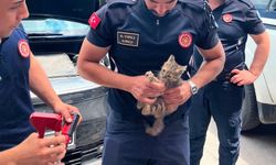 Eskişehir itfaiyesi yine can dostların yardımına koştu