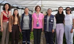 Eskişehir yaza kendi seralarında üretilen çiçeklerle hazırlanıyor