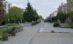 Gürhan Albayrak: "Hat boyu ihalesi değerlendirme aşamasında"