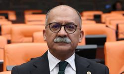 İbrahim Arslan'dan Alpu'daki altın madeni projesine tepki