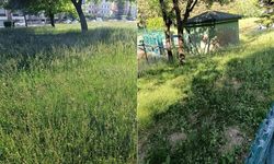 Servet Kahramaner'den Aydın Arat Parkı tepkisi