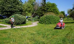Tepebaşı Belediyesi park ve yeşil alanlarda bakım çalışmalarını hızlandırdı