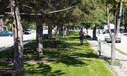 Tepebaşı'nda park ve yeşil alanlarda bakım çalışmaları sürüyor
