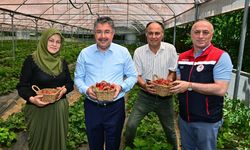 Antalya'dan alınıyordu, artık Eskişehir'de üretiliyor