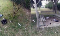 Eskişehir'de Belediye isyan etti: Parkları kirletenlere çağrı