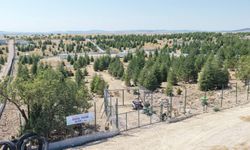 Eskişehir'de sahipsiz hayvanlar için yeni yaşam alanı hizmete açıldı