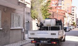 Eskişehir'de uçkunlara karşı ilaçlama çalışmaları sürüyor