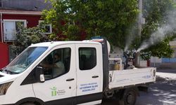 Tepebaşı'nda haşerelere karşı ilaçlama çalışmaları sürüyor