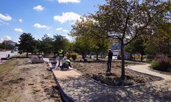 Eskişehir’de bir park daha yenileniyor; İçine yeni spor alanları geliyor