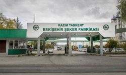 Türkşeker 182 kişiyi işe alacak: Başvurular için tarih belli oldu