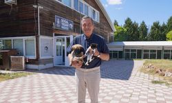 Eskişehir’de hayvan sahiplenmek isteyenlere çağrı; Ahmet Ataç’tan “Satın alma, sahiplen” mesajı