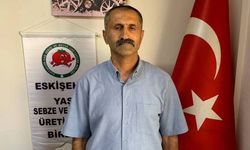 Eskişehir'de sebze üreticisi ürünlerin tarlada kaldığını söyledi