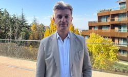 Veteriner Hekimler Odası Başkanı Erdinç Yuva’dan sokak hayvanları açıklaması