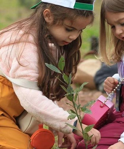 Tüm okullarda gönüllü katılımla fidan dikim etkinliği düzenlenecek