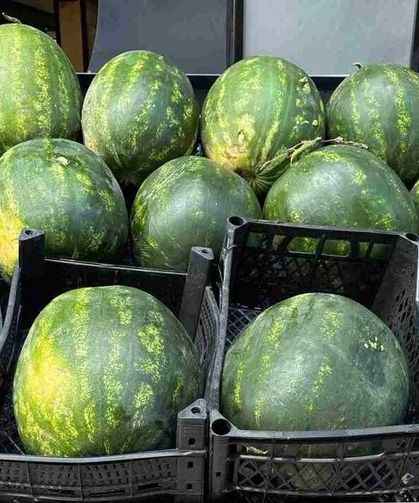 Eskişehir'de yazın vazgeçilmezi karpuz cep yakıyor