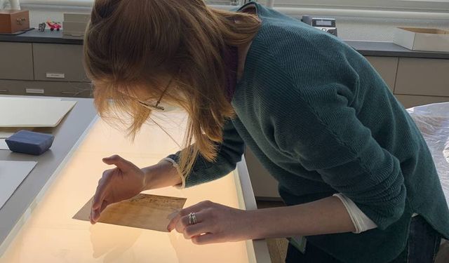 Artık kağıt üretmek için ağaç kesilmeyebilir; Dünya bu gelişmeyi konuşuyor