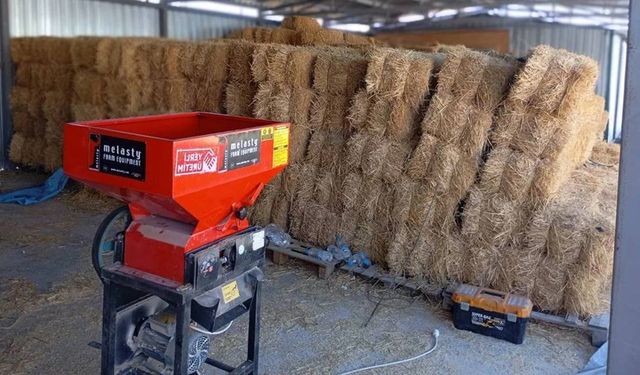 Eskişehir’de küçükbaş üreticisine büyük destek