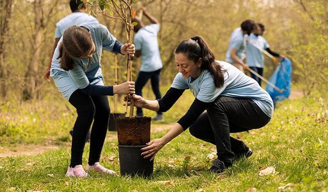 11 Kasım’da 81 ilde toprağa verilen fidan sayısı açıklandı