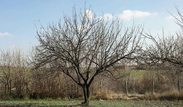 Ömer Fethi Gürer: "Tarım sektöründeki sorunlar acil çözüm bekliyor"