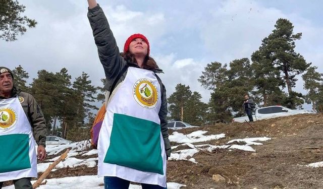 Tarım ve Orman Bakanlığı Orman Genel Müdürlüğü duyurdu; 496 personel alımı yapılacak