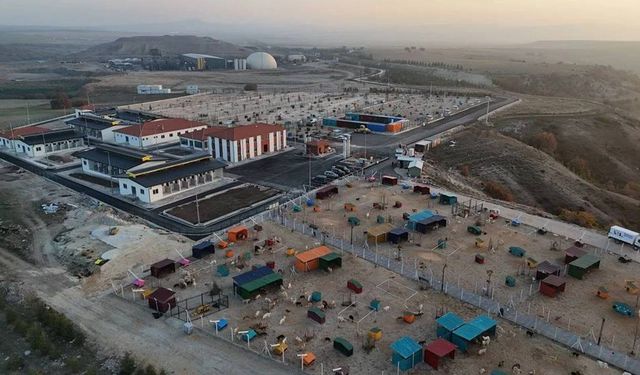 Eskişehir Büyükşehir Belediyesi duyurdu; Bakımevi ve doğal yaşam alanı genişledi