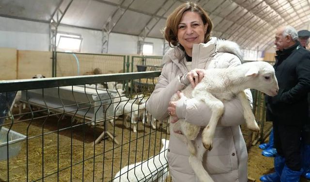 Eskişehir Büyükşehir Belediyesi'nden hayvancılıkla uğraşanlara büyük destek