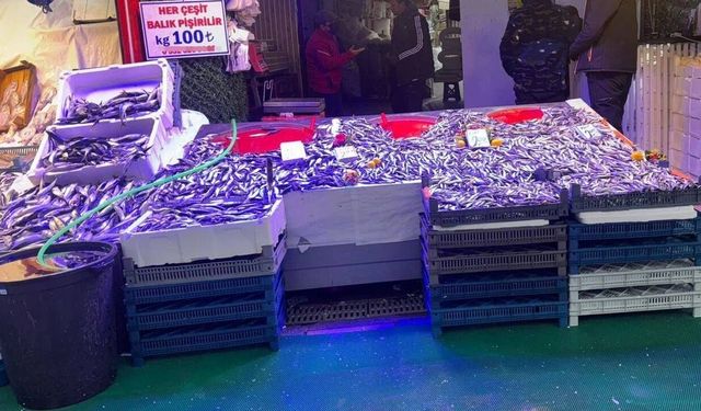 Eskişehir balık tezgâhlarında hamsi sakinliği