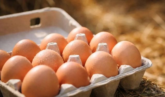 Eskişehir’de yumurta fiyatı dalgalanıyor; Şarküterilerle zincir marketler arasında fark oluştu