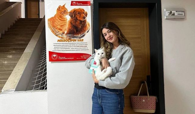 Mikroçipsiz evcil hayvanlara ceza dönemi başladı