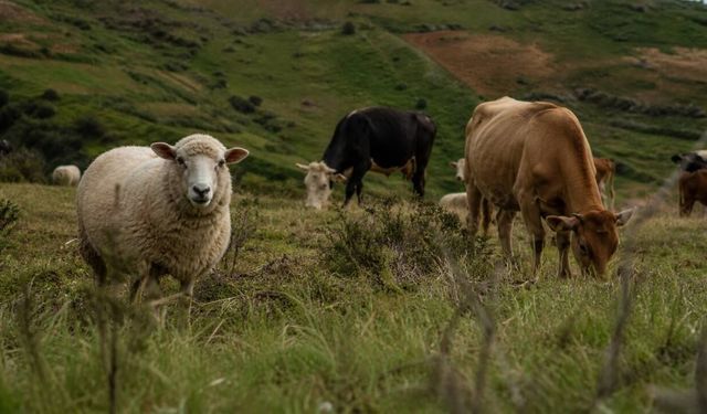 Eskişehir’de kırsal kalkınma için 10 milyar TL’lik destek başladı
