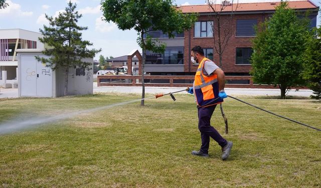Eskişehir'de haşere alarmı: Belediye ilaçlamaları sürdürüyor