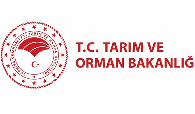 Mister Türkiye 2026 sonuçları açıklandı: Zirveye çıkan isim Doğukan Navdar