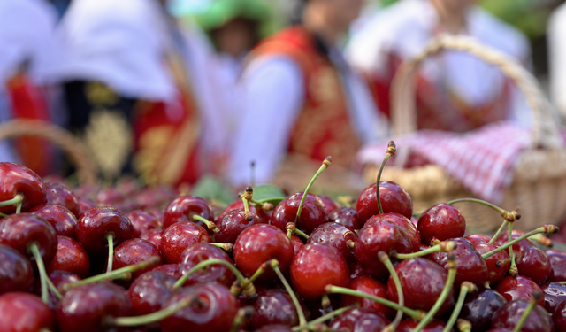 Mihalıççık'taki ertelenen festivalin tarihi açıklandı