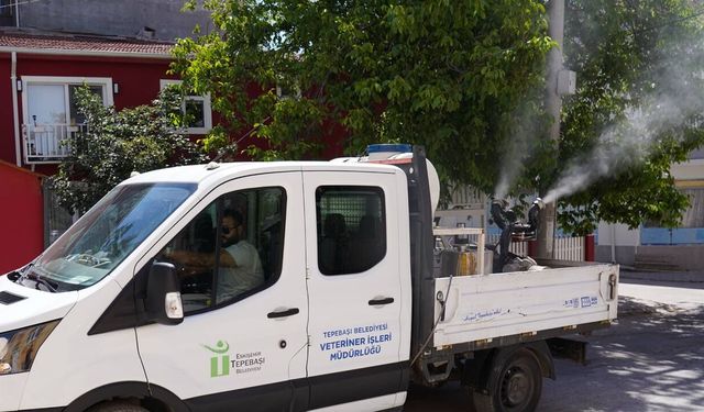 Tepebaşı'nda haşerelere karşı ilaçlama çalışmaları sürüyor