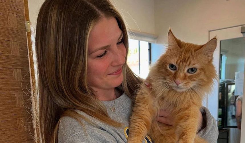 Avrupa Birliği’nden kedi ve köpekler için önemli karar