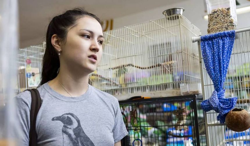 Petshoplarda yaban hayvanı satışı konusunda önemli hatırlatma