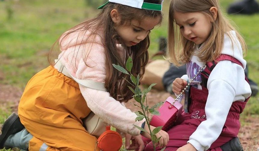 Tüm okullarda gönüllü katılımla fidan dikim etkinliği düzenlenecek