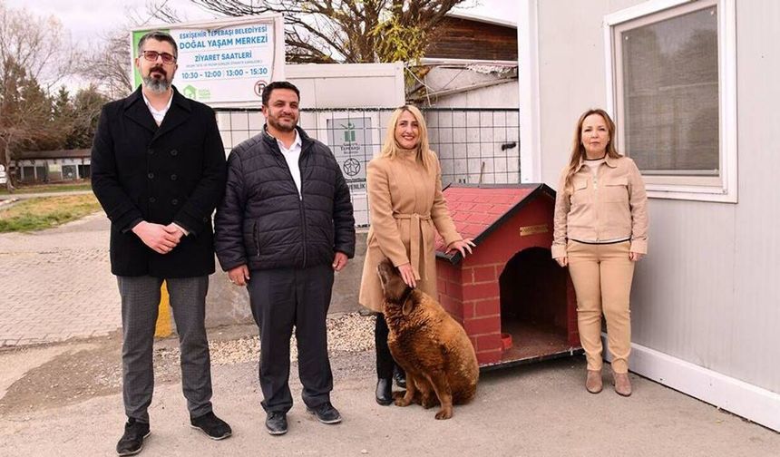 Eskişehir'de tedavi altındaki sokak hayvanları için kulübe bağışı yapıldı