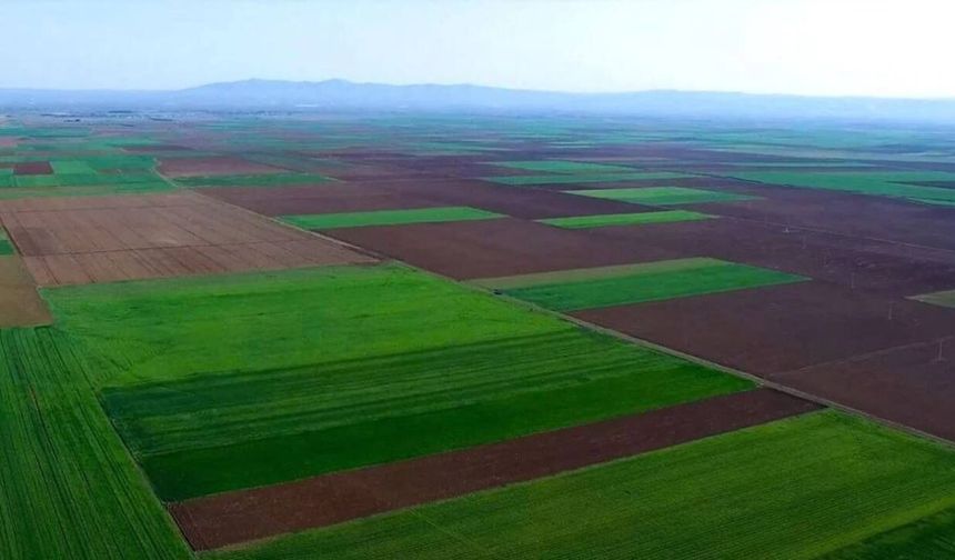 Eskişehir Alpu Ovası davasında Danıştay’dan yeni karar