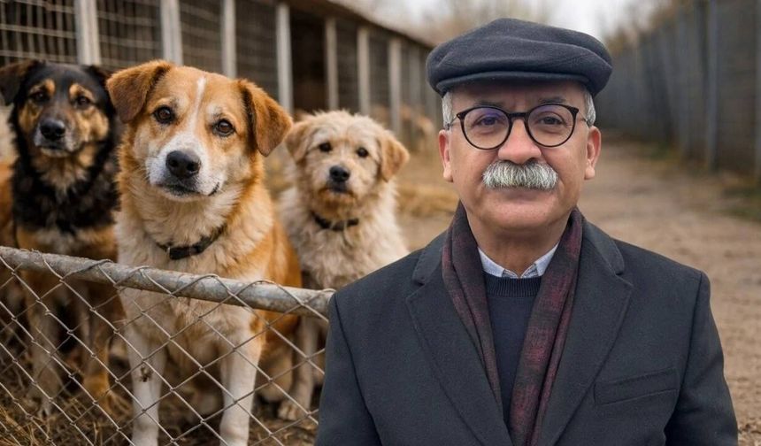 İbrahim Arslan’dan Eskişehir’deki barınak görüntülerine ilişkin açıklama