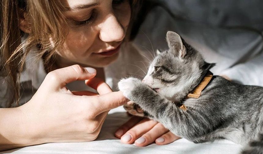 Eskişehir’de evcil hayvan aşılarında bilinç artıyor, ancak eksikler sürüyor