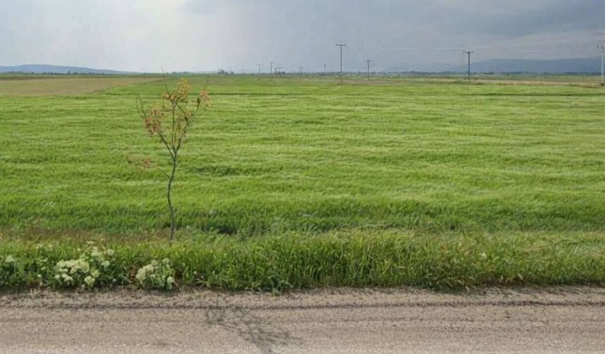 Alpu Belediyesi 9 arsayı satışa çıkardı; İhale 28 Nisan’da yapılacak