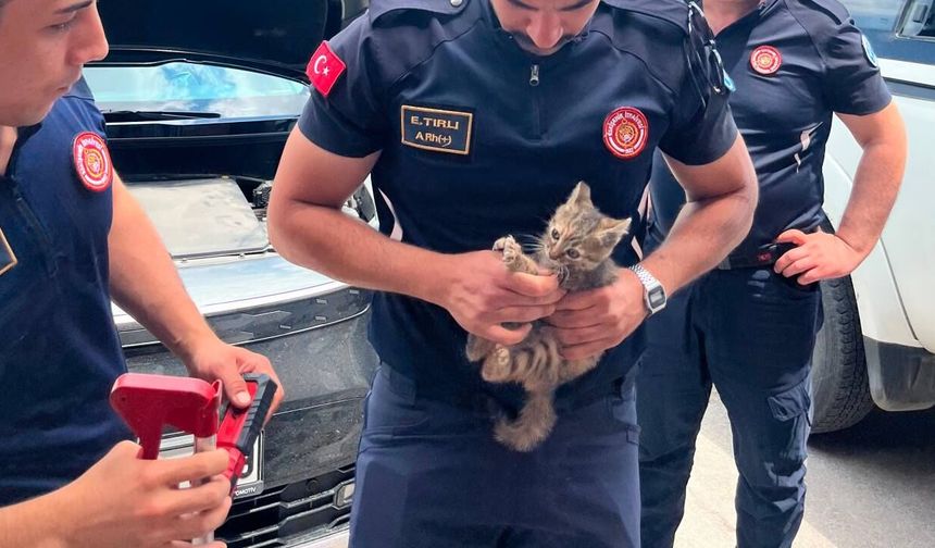 Eskişehir itfaiyesi yine can dostların yardımına koştu