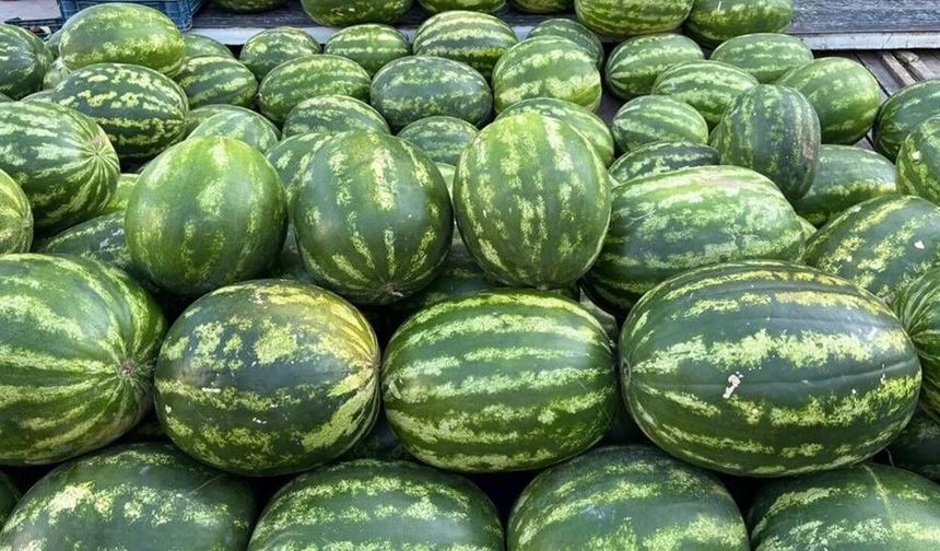 Eskişehir pazarlarında karpuz fiyatları şaşırttı